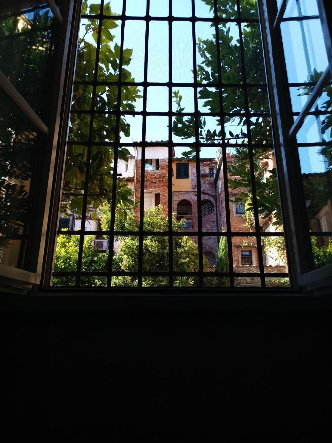 Chill In Tuscany Ground Floor Gasthuis *